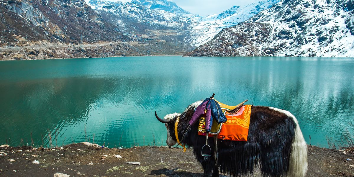 Best Time to Visit India from Nepal
